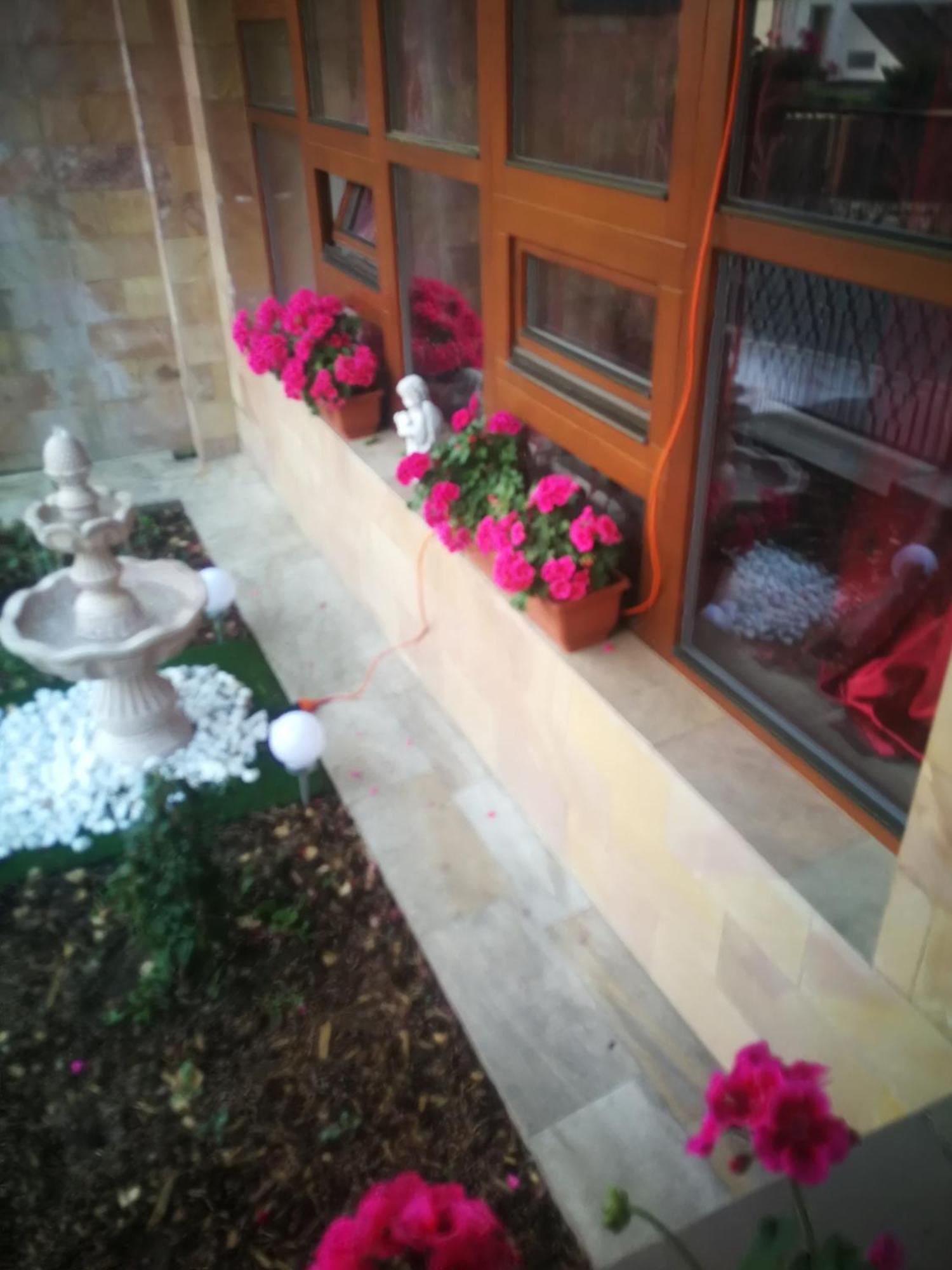 Vila Barrandovska Patro 2 Prága Kültér fotó